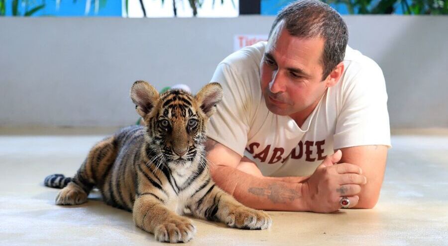 0zzm0wylyve88pr6pix07mbtd298qyks