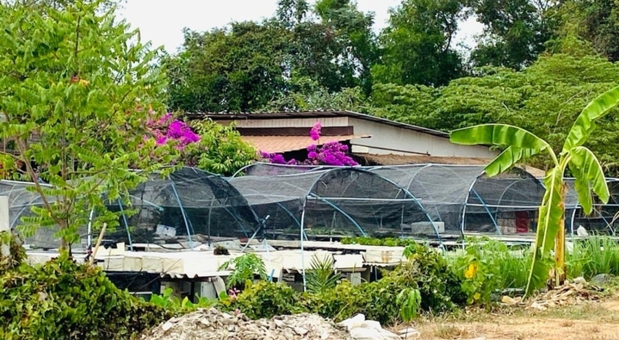 2k6w9iph0gigvxjlnqibhj247r7ijlqi