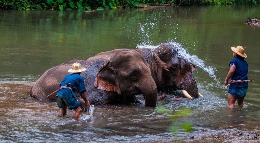 3l8fvf8c7l9sdhcw82p9l813rzma6hs1