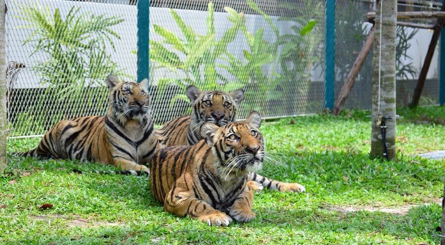 4s23ku24c82k7m4y2mviwriwrpw0sne8