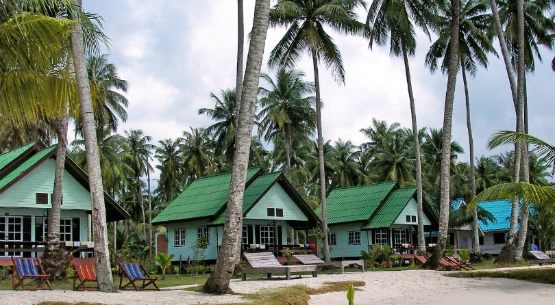 69n1q1bsm1d8t5hrrazfgmee9y2qhhe8