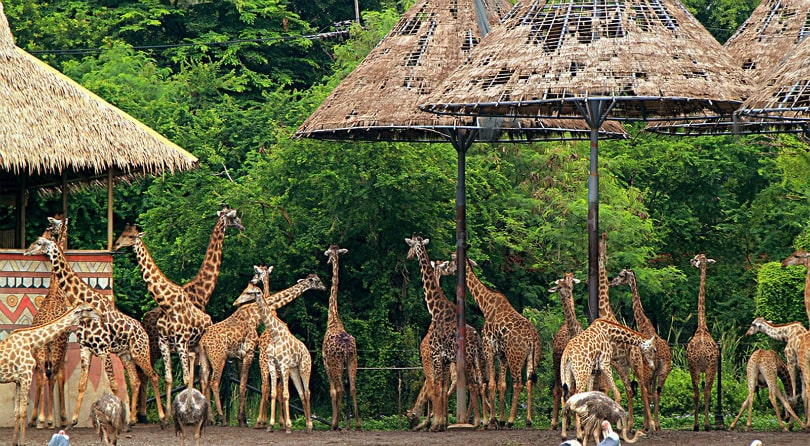 6m053j2m81hjc3nv6h28ja6ud55s5lbb