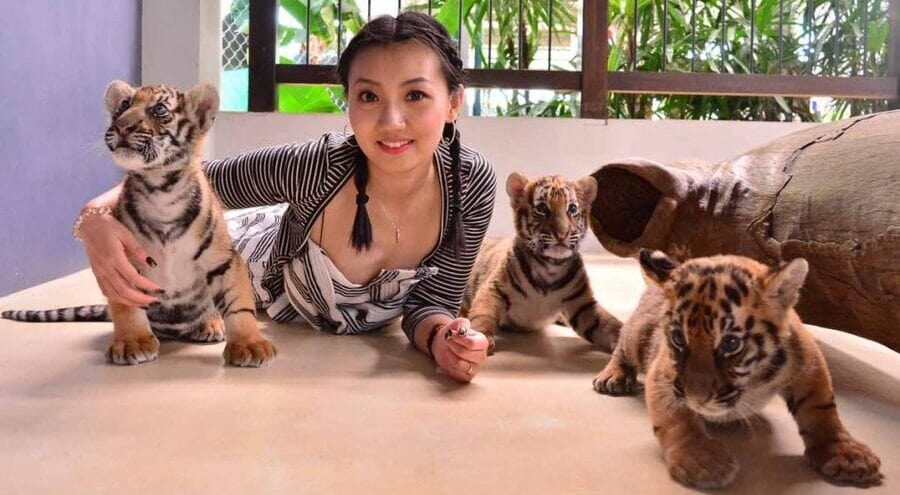 8ib3zb2hmhez96rtjda2i3qeruzei7ul