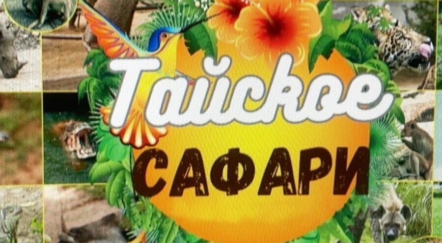 ufpi387ly48p0zl4yz60gwgn3h4hrm2h