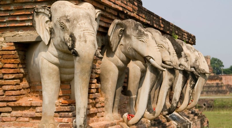 xp1hjfc65yydcsrqt8xhfms1pwbzziqh