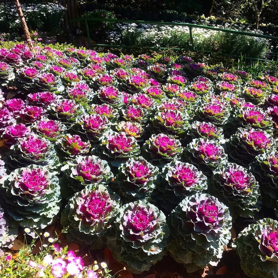 5d2ot1k9gsrzgkyr5z4vm318idlq1f38