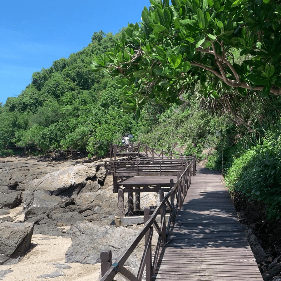 avjxunivhdq4ohx484exjxthymn02yed