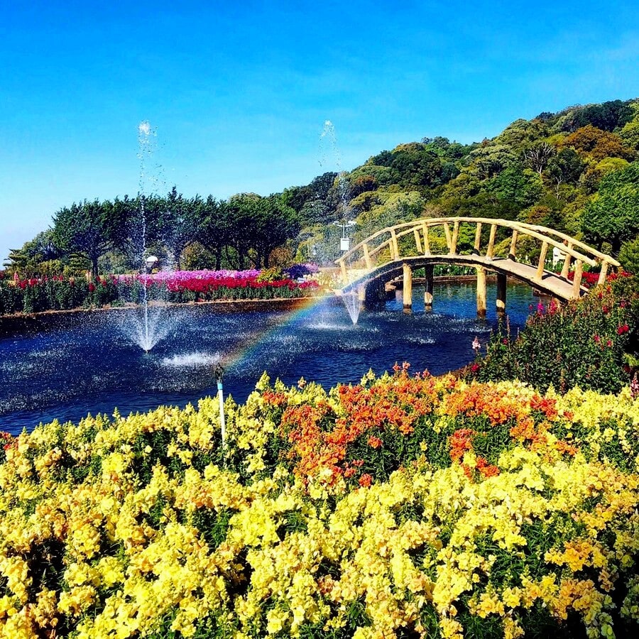 dczd4il2ra3sp6q0283jcyc3pf7a8uqk