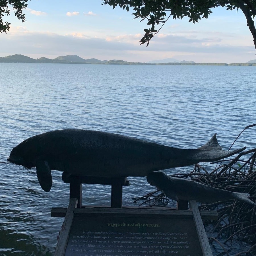 ooyvwgi3mgbgss26p6jn7pw0a1oelrok