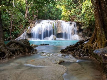 Джунгли тур